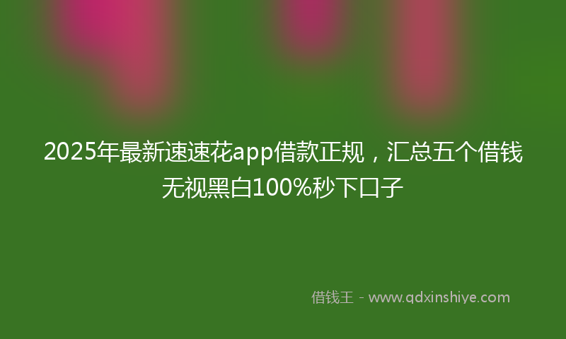 2025年最新速速花app借款正规，汇总五个借钱无视黑白100%秒下口子