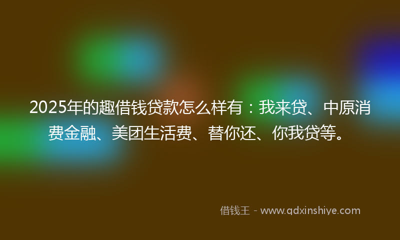 2025年的趣借钱贷款怎么样有：我来贷、中原消费金融、美团生活费、替你还、你我贷等。