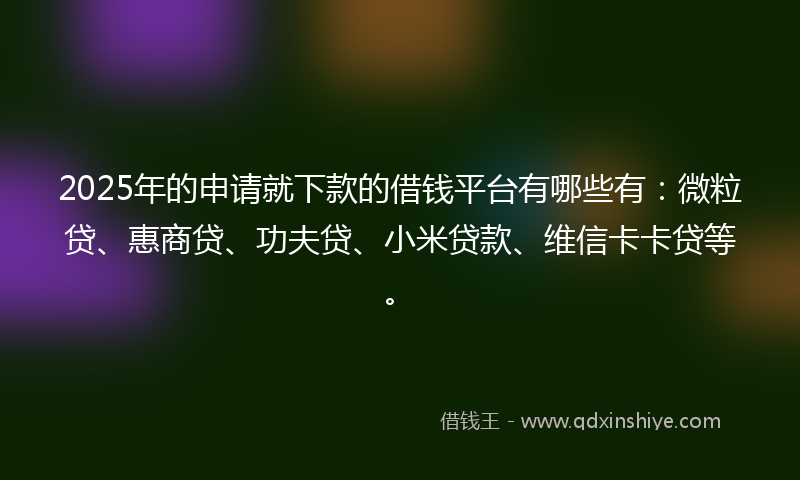 2025年的申请就下款的借钱平台有哪些有：微粒贷、惠商贷、功夫贷、小米贷款、维信卡卡贷等。