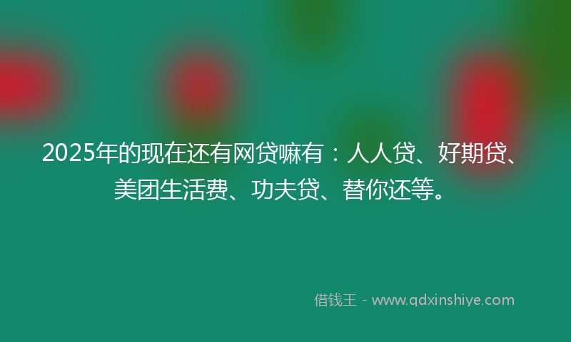 2025年的现在还有网贷嘛有：人人贷、好期贷、美团生活费、功夫贷、替你还等。
