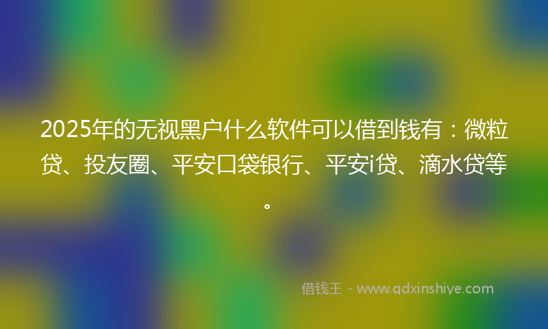 2025年的无视黑户什么软件可以借到钱有：微粒贷、投友圈、平安口袋银行、平安i贷、滴水贷等。