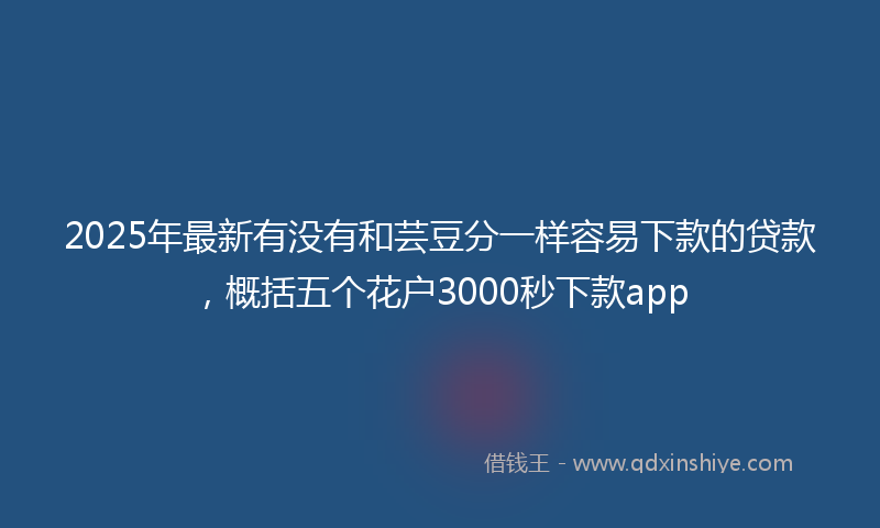 2025年最新有没有和芸豆分一样容易下款的贷款，概括五个花户3000秒下款app
