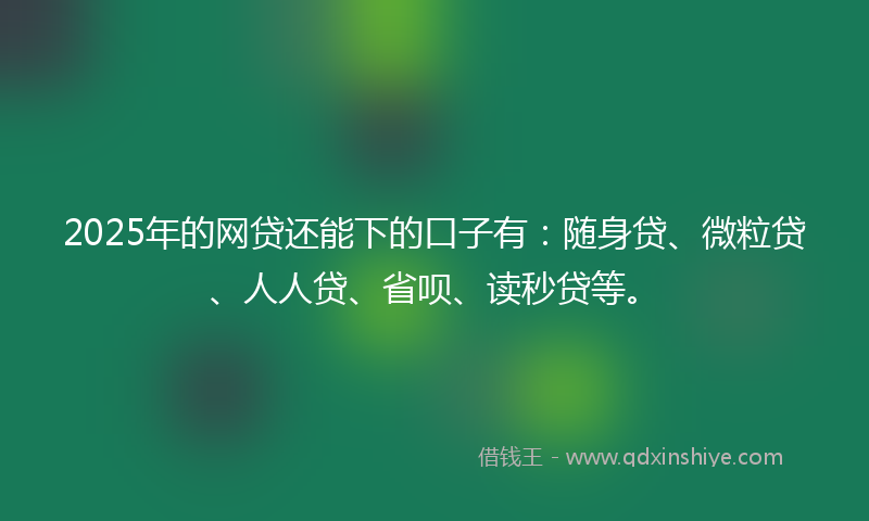 2025年的网贷还能下的口子有：随身贷、微粒贷、人人贷、省呗、读秒贷等。
