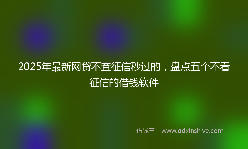2025年最新网贷不查征信秒过的，盘点五个不看征信的借钱软件