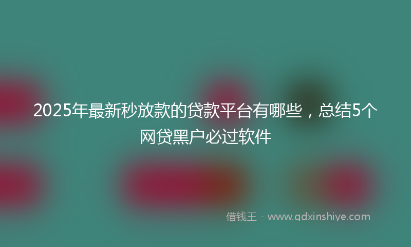 2025年最新秒放款的贷款平台有哪些，总结5个网贷黑户必过软件