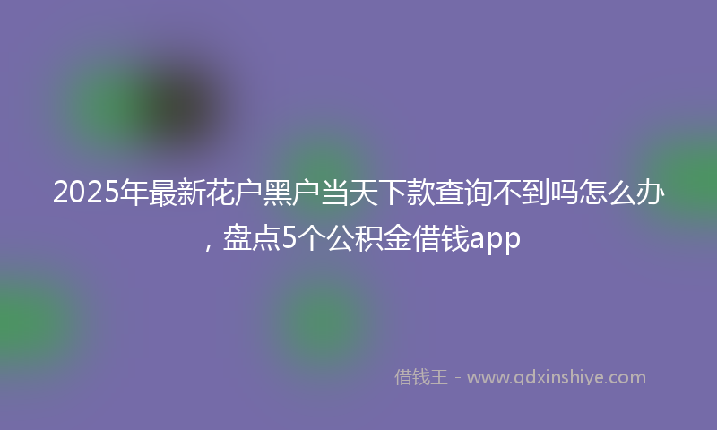 2025年最新花户黑户当天下款查询不到吗怎么办，盘点5个公积金借钱app