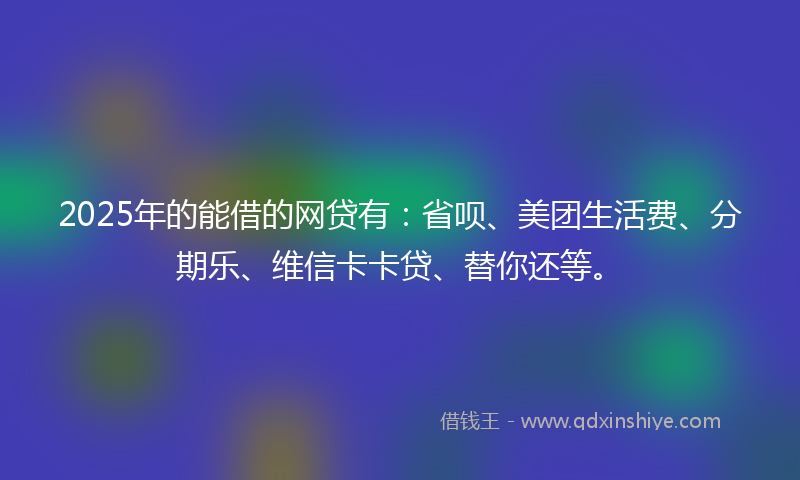 2025年的能借的网贷有：省呗、美团生活费、分期乐、维信卡卡贷、替你还等。
