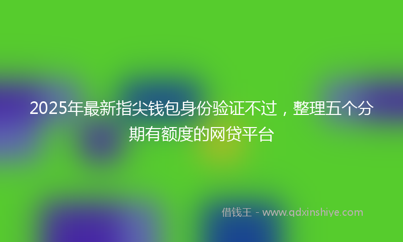 2025年最新指尖钱包身份验证不过，整理五个分期有额度的网贷平台