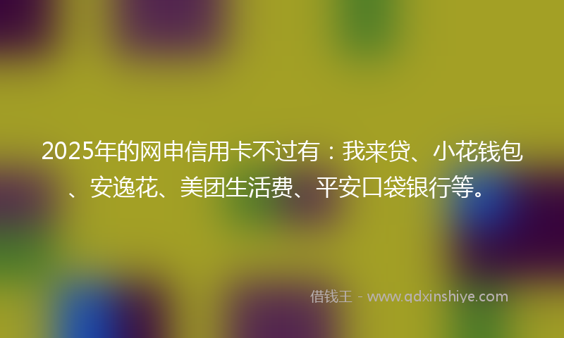 2025年的网申信用卡不过有：我来贷、小花钱包、安逸花、美团生活费、平安口袋银行等。