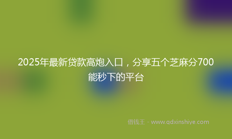 2025年最新贷款高炮入口，分享五个芝麻分700能秒下的平台
