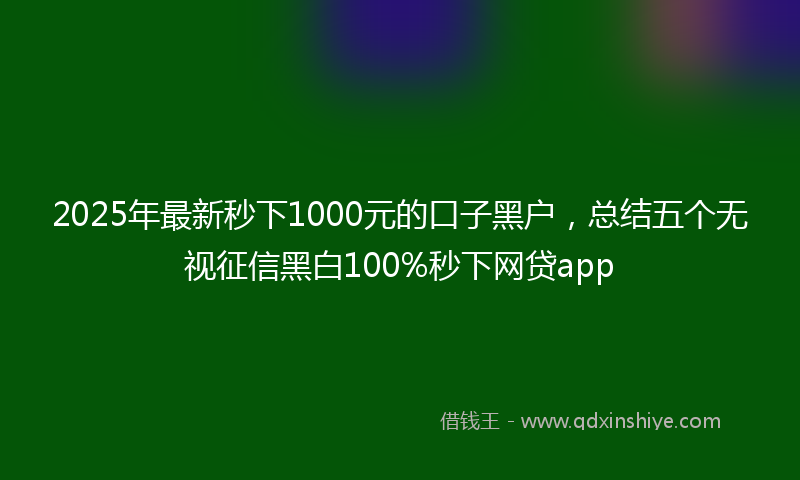 2025年最新秒下1000元的口子黑户，总结五个无视征信黑白100%秒下网贷app