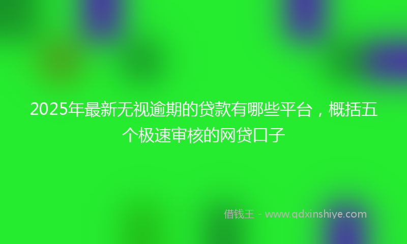 2025年最新无视逾期的贷款有哪些平台，概括五个极速审核的网贷口子