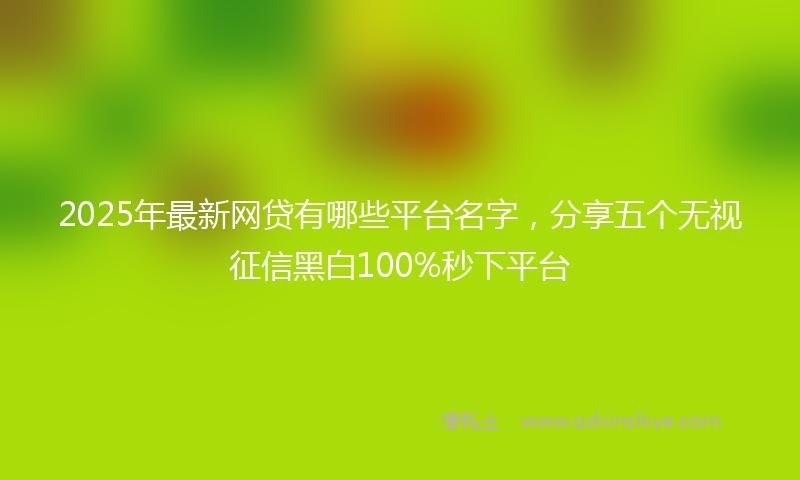 2025年最新网贷有哪些平台名字，分享五个无视征信黑白100%秒下平台