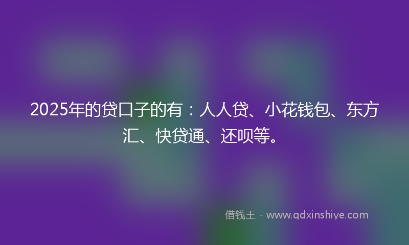 2025年的贷口子的有：人人贷、小花钱包、东方汇、快贷通、还呗等。