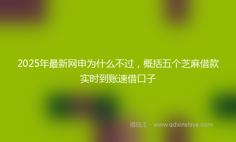 2025年最新网申为什么不过，概括五个芝麻借款实时到账速借口子