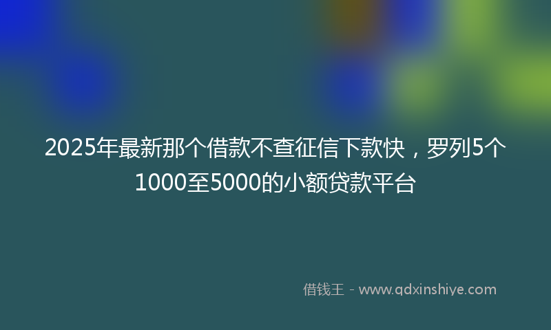 2025年最新那个借款不查征信下款快，罗列5个1000至5000的小额贷款平台