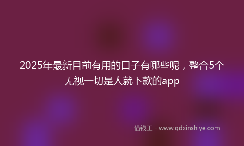 2025年最新目前有用的口子有哪些呢，整合5个无视一切是人就下款的app