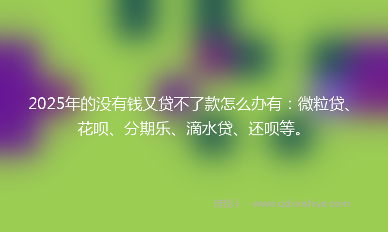 2025年的没有钱又贷不了款怎么办有：微粒贷、花呗、分期乐、滴水贷、还呗等。