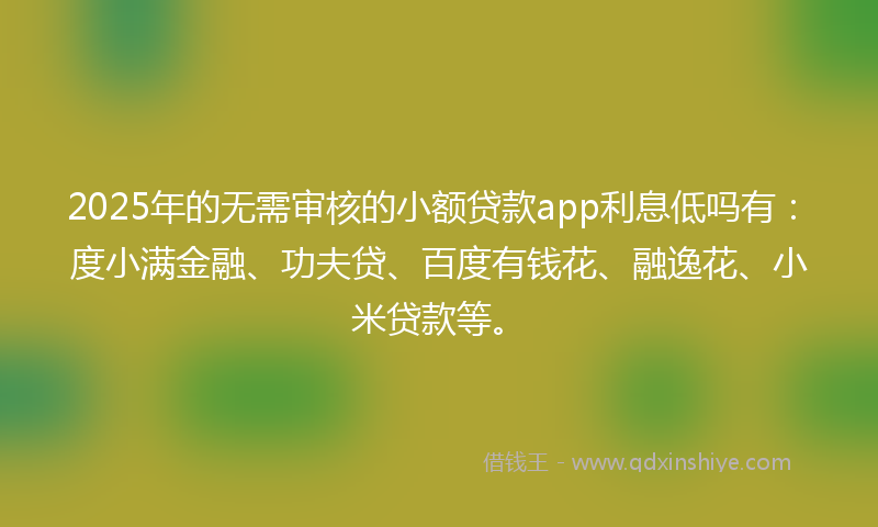 2025年的无需审核的小额贷款app利息低吗有：度小满金融、功夫贷、百度有钱花、融逸花、小米贷款等。