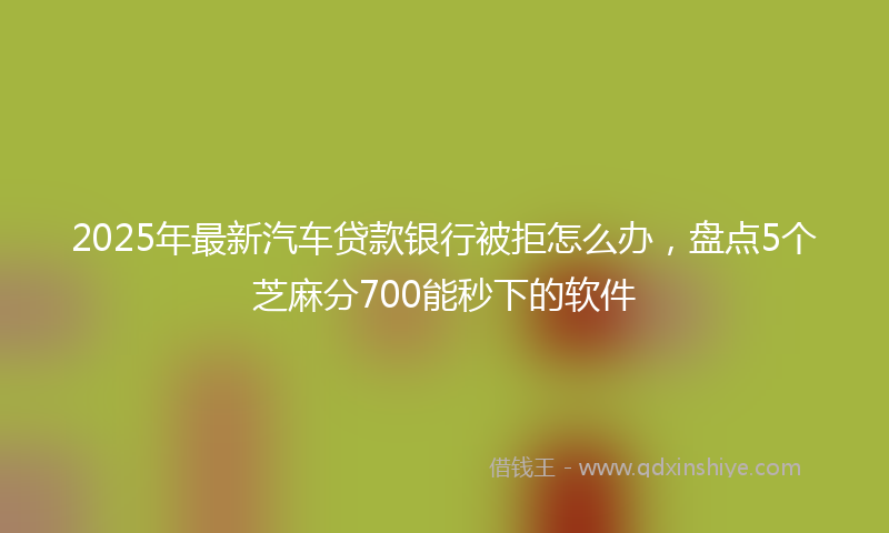 2025年最新汽车贷款银行被拒怎么办，盘点5个芝麻分700能秒下的软件