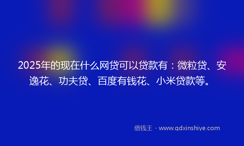 2025年的现在什么网贷可以贷款有：微粒贷、安逸花、功夫贷、百度有钱花、小米贷款等。