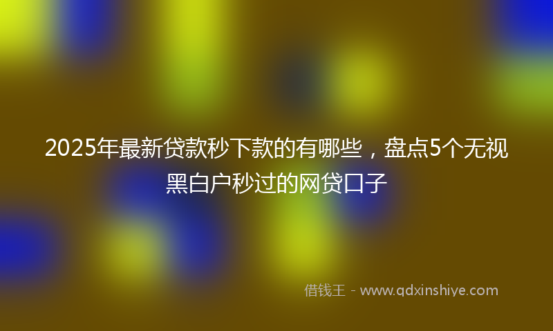 2025年最新贷款秒下款的有哪些，盘点5个无视黑白户秒过的网贷口子