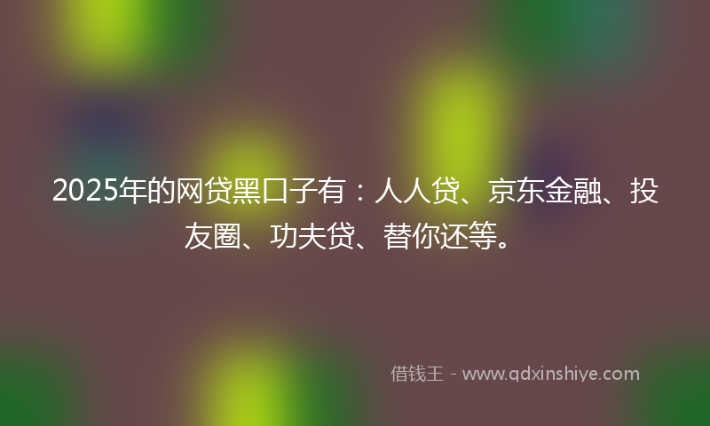 2025年的网贷黑口子有：人人贷、京东金融、投友圈、功夫贷、替你还等。
