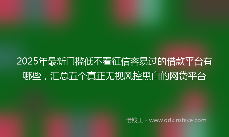 2025年最新门槛低不看征信容易过的借款平台有哪些，汇总五个真正无视风控黑白的网贷平台