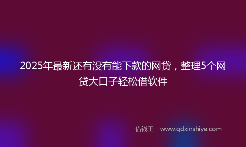 2025年最新还有没有能下款的网贷，整理5个网贷大口子轻松借软件