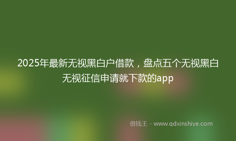 2025年最新无视黑白户借款，盘点五个无视黑白无视征信申请就下款的app