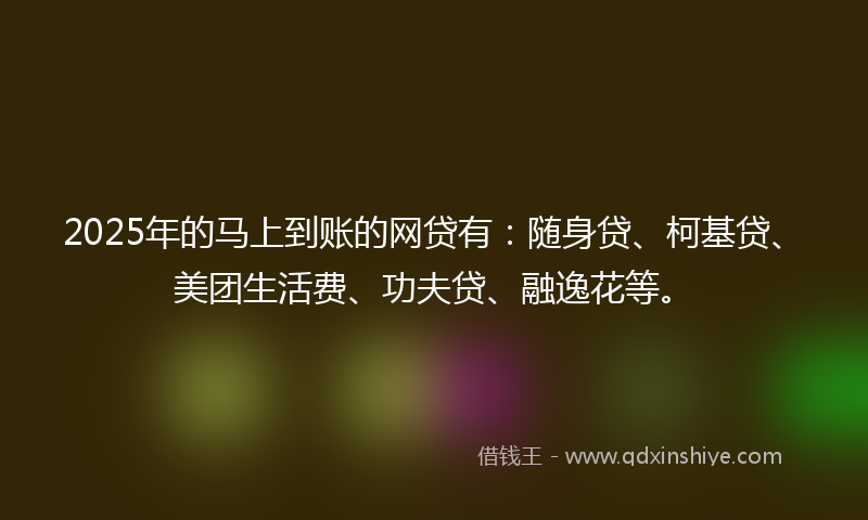 2025年的马上到账的网贷有：随身贷、柯基贷、美团生活费、功夫贷、融逸花等。