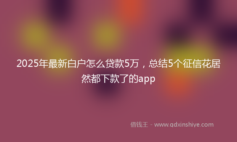 2025年最新白户怎么贷款5万，总结5个征信花居然都下款了的app