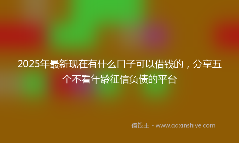 2025年最新现在有什么口子可以借钱的，分享五个不看年龄征信负债的平台