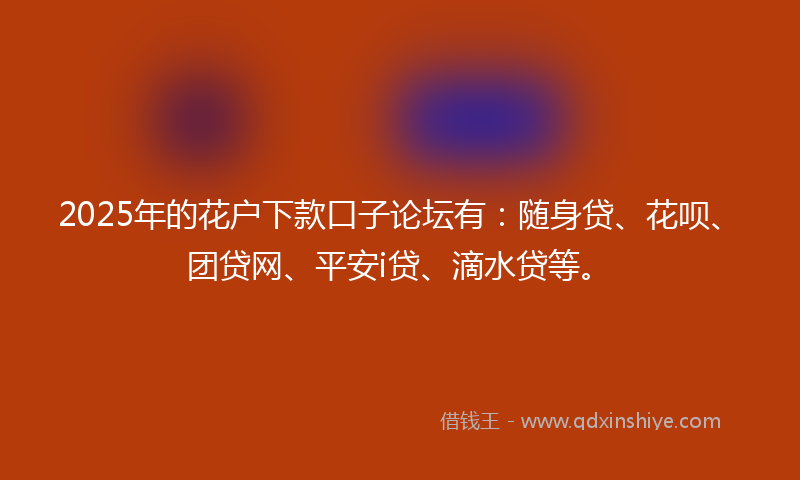 2025年的花户下款口子论坛有：随身贷、花呗、团贷网、平安i贷、滴水贷等。