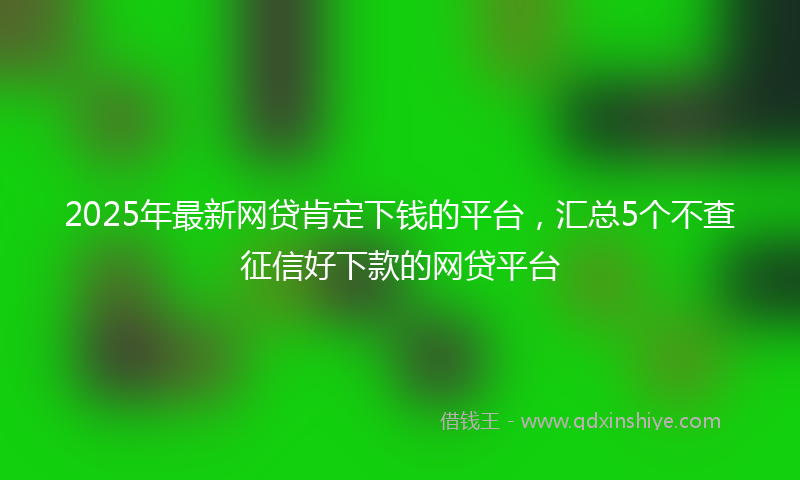 2025年最新网贷肯定下钱的平台，汇总5个不查征信好下款的网贷平台
