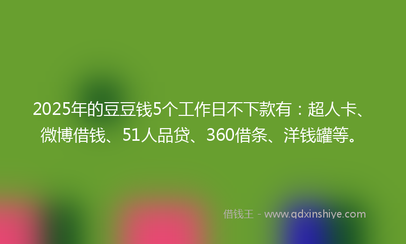 2025年的豆豆钱5个工作日不下款有：超人卡、微博借钱、51人品贷、360借条、洋钱罐等。