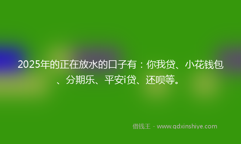 2025年的正在放水的口子有：你我贷、小花钱包、分期乐、平安i贷、还呗等。