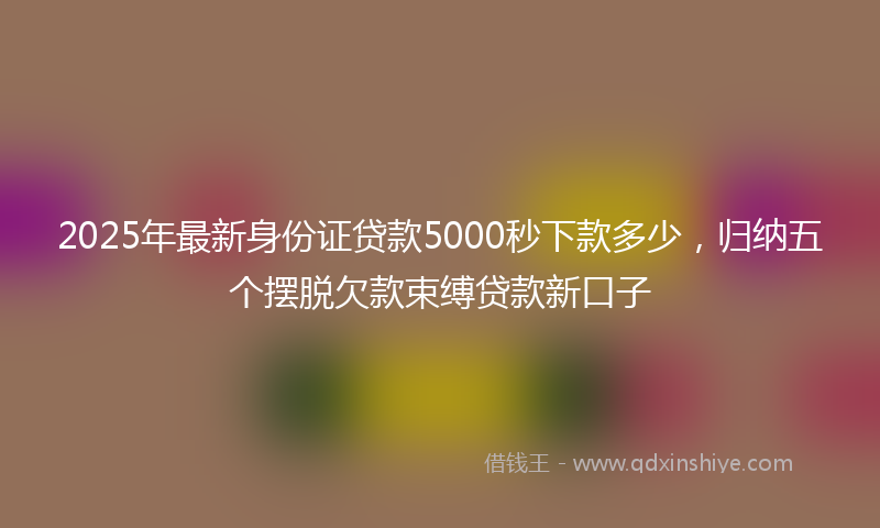 2025年最新身份证贷款5000秒下款多少，归纳五个摆脱欠款束缚贷款新口子