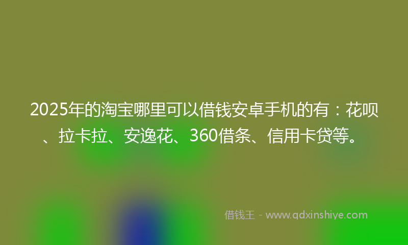 2025年的淘宝哪里可以借钱安卓手机的有：花呗、拉卡拉、安逸花、360借条、信用卡贷等。