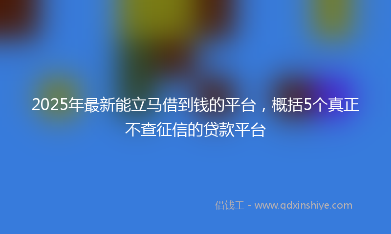 2025年最新能立马借到钱的平台，概括5个真正不查征信的贷款平台