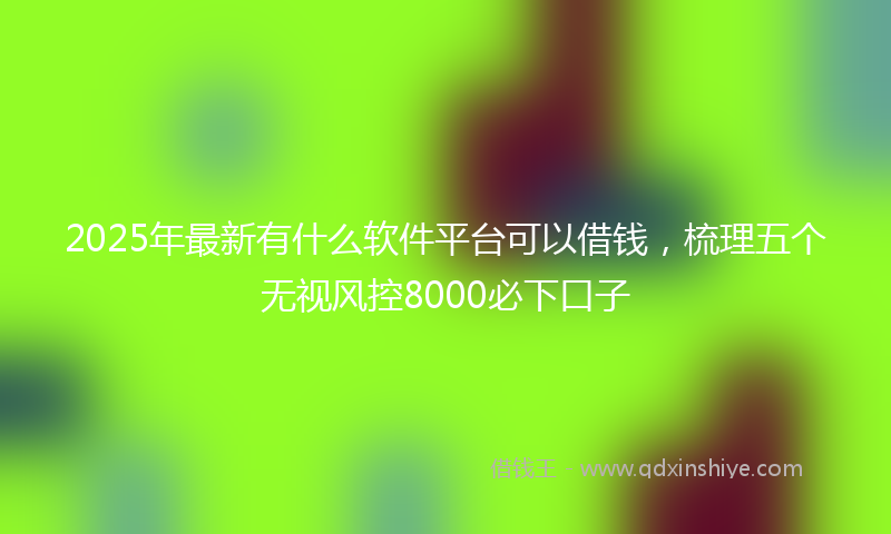 2025年最新有什么软件平台可以借钱，梳理五个无视风控8000必下口子