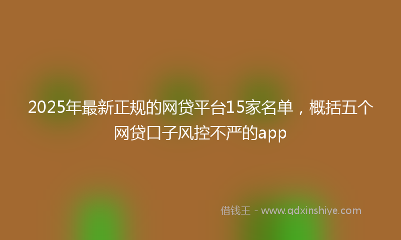 2025年最新正规的网贷平台15家名单，概括五个网贷口子风控不严的app