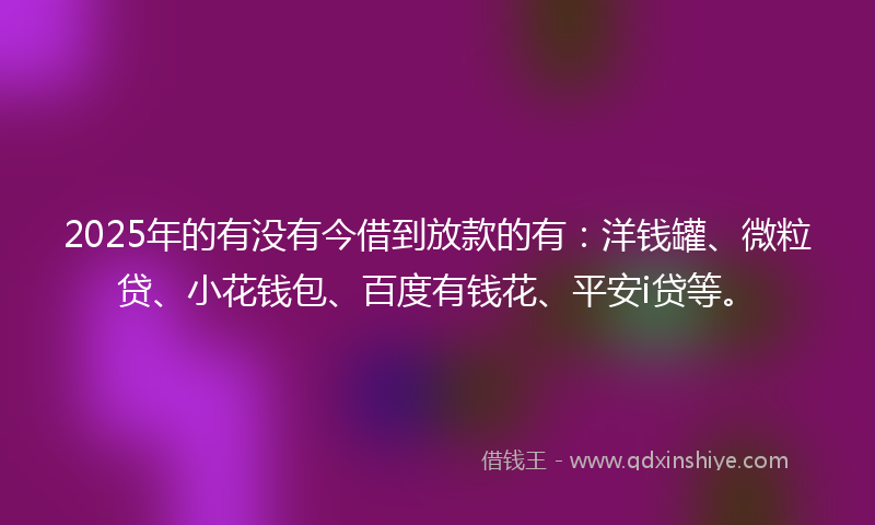2025年的有没有今借到放款的有：洋钱罐、微粒贷、小花钱包、百度有钱花、平安i贷等。