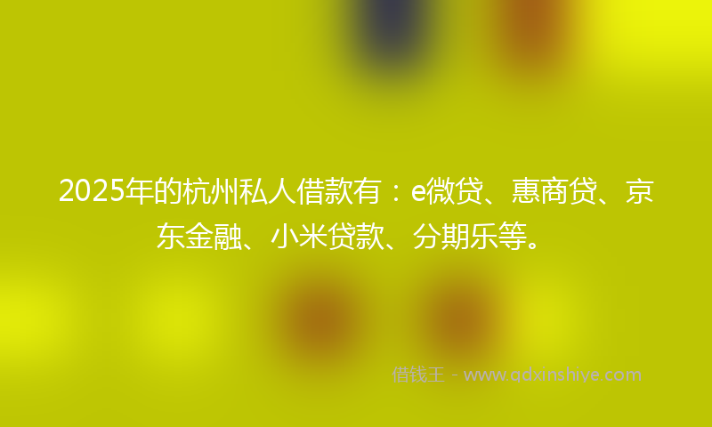 2025年的杭州私人借款有：e微贷、惠商贷、京东金融、小米贷款、分期乐等。