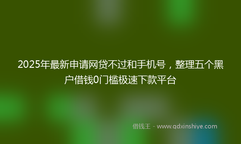 2025年最新申请网贷不过和手机号，整理五个黑户借钱0门槛极速下款平台