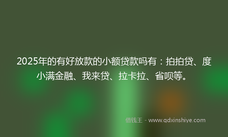 2025年的有好放款的小额贷款吗有：拍拍贷、度小满金融、我来贷、拉卡拉、省呗等。