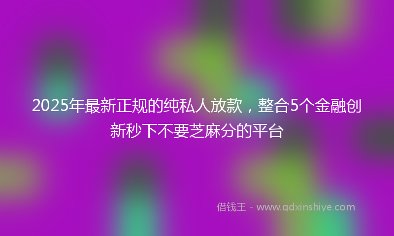 2025年最新正规的纯私人放款，整合5个金融创新秒下不要芝麻分的平台