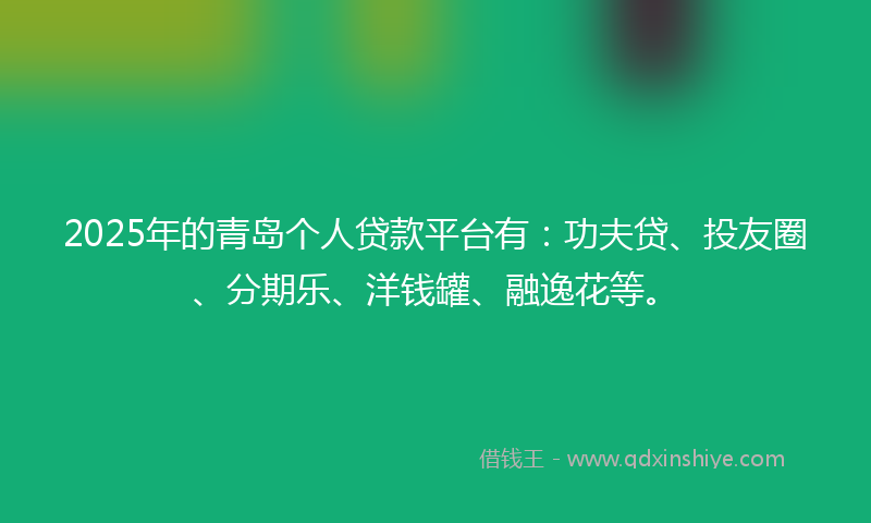 2025年的青岛个人贷款平台有：功夫贷、投友圈、分期乐、洋钱罐、融逸花等。