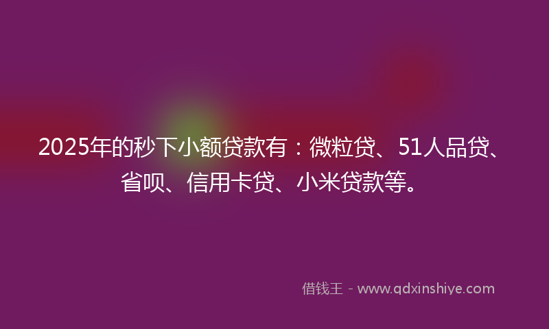 2025年的秒下小额贷款有：微粒贷、51人品贷、省呗、信用卡贷、小米贷款等。