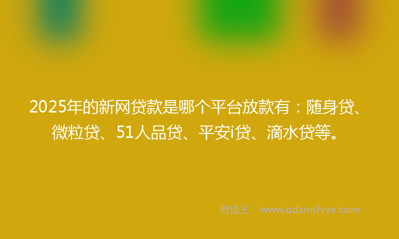 2025年的新网贷款是哪个平台放款有：随身贷、微粒贷、51人品贷、平安i贷、滴水贷等。